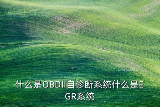 什么是OBDII自診斷系統(tǒng)什么是EGR系統(tǒng)