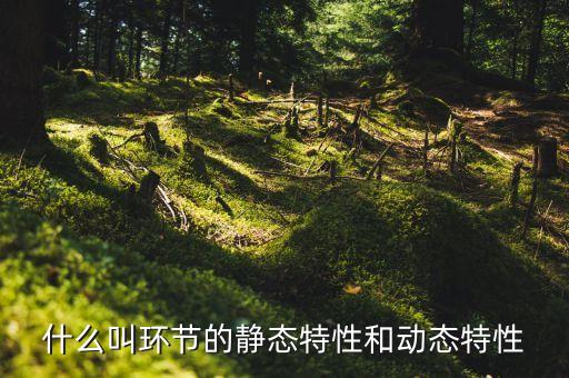 動態(tài)特性，什么是系統的動態(tài)特性