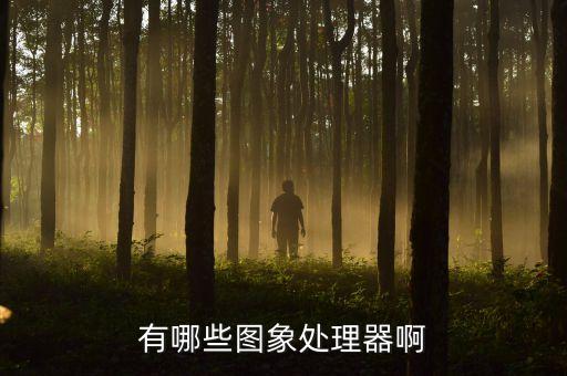 有哪些圖象處理器啊