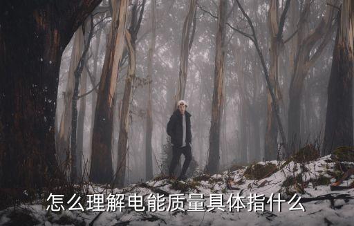 怎么理解電能質(zhì)量具體指什么