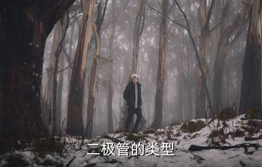 二極管的類型