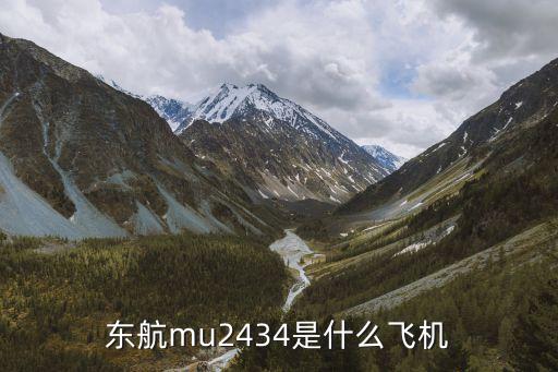 東航mu2434是什么飛機(jī)