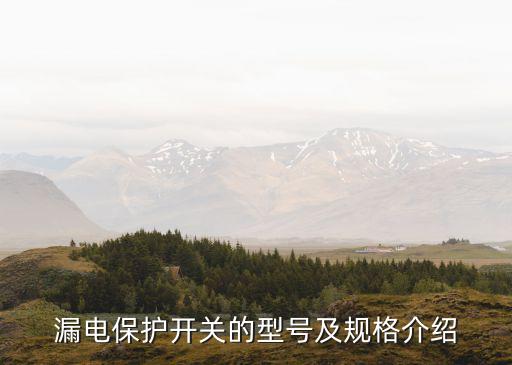 漏電開關(guān)型號，漏電開關(guān)有哪些型號