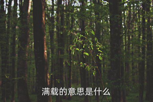 滿載的意思是什么