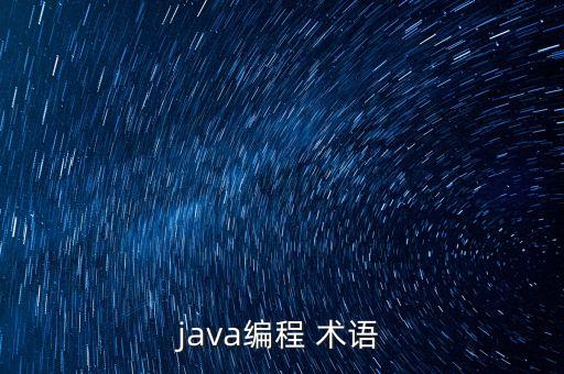java編程 術(shù)語