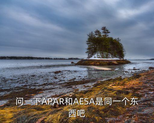 問一下APAR和AESA是同一個東西吧