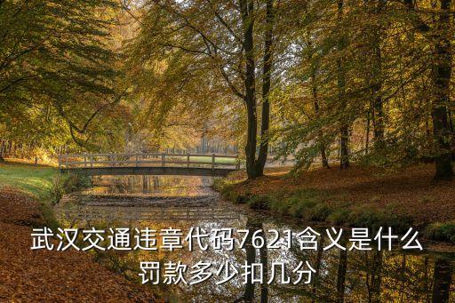 武漢交通違章代碼7621含義是什么罰款多少扣幾分