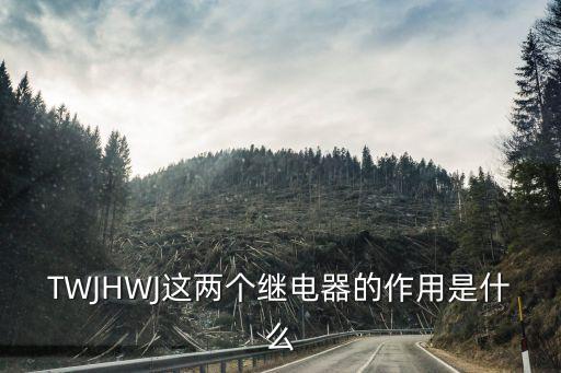 TWJHWJ這兩個(gè)繼電器的作用是什么