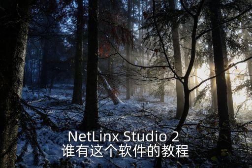 NetLinx Studio 2 誰有這個軟件的教程