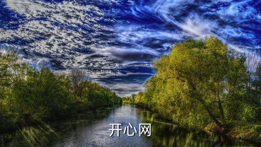 芯片網(wǎng)，開心網(wǎng)
