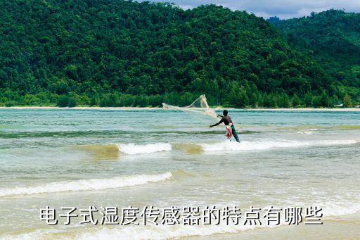 電子式濕度傳感器的特點(diǎn)有哪些