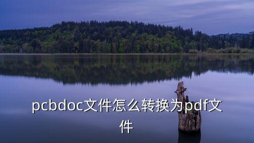 pcbdoc文件怎么轉(zhuǎn)換為pdf文件