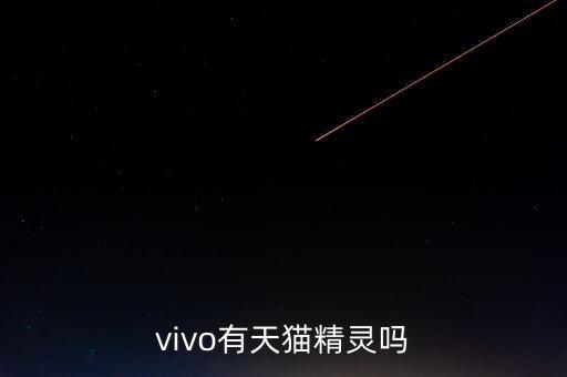vivo有天貓精靈嗎