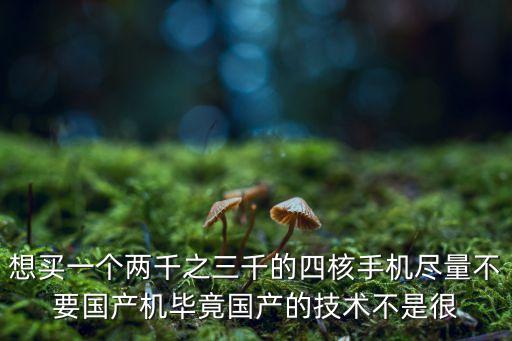 想買一個兩千之三千的四核手機(jī)盡量不要國產(chǎn)機(jī)畢竟國產(chǎn)的技術(shù)不是很