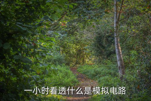 一小時(shí)看透什么是模擬電路