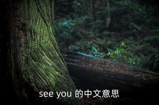 seseyou，see you 的中文意思