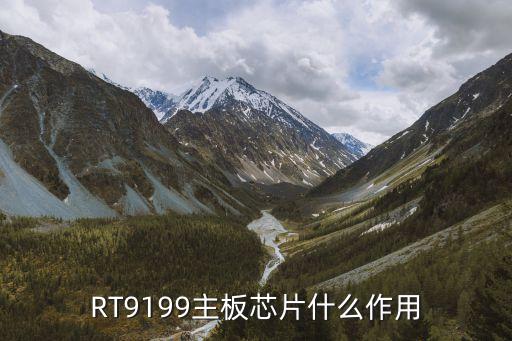 立锜，RT9199主板芯片什么作用