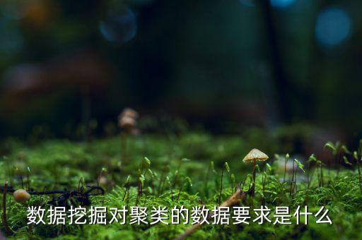 可解釋性，數(shù)據(jù)挖掘?qū)垲惖臄?shù)據(jù)要求是什么