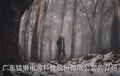 廣東猛獅電源科技股份有限公司的介紹