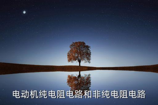 純電阻電路是什么，死亡筆記中L和N的關(guān)系是什么