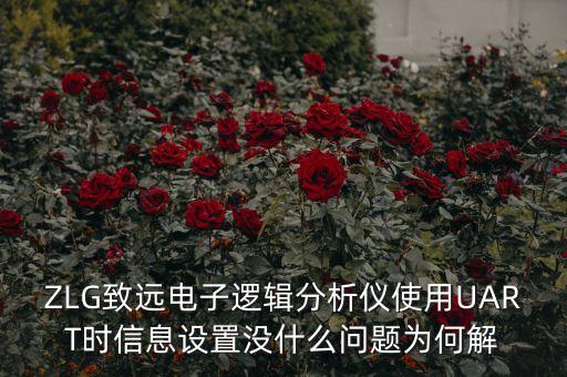 ZLG致遠(yuǎn)電子邏輯分析儀使用UART時(shí)信息設(shè)置沒(méi)什么問(wèn)題為何解