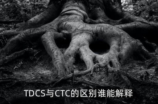 TDCS與CTC的區(qū)別誰能解釋