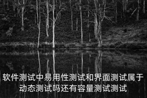 軟件測試中易用性測試和界面測試屬于動態(tài)測試嗎還有容量測試測試