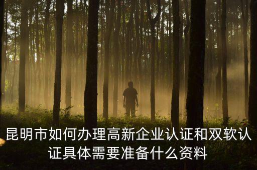 高新技術企業(yè)代理，昆明市如何辦理高新企業(yè)認證和雙軟認證具體需要準備什么資料