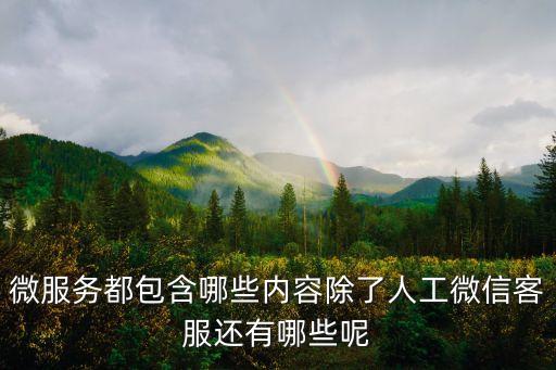 微服務都包含哪些內(nèi)容除了人工微信客服還有哪些呢