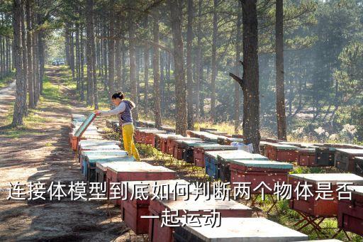 連接體，高一物理 連接體外力和內(nèi)力概念