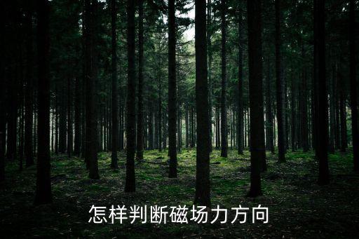 怎樣判斷磁場力方向