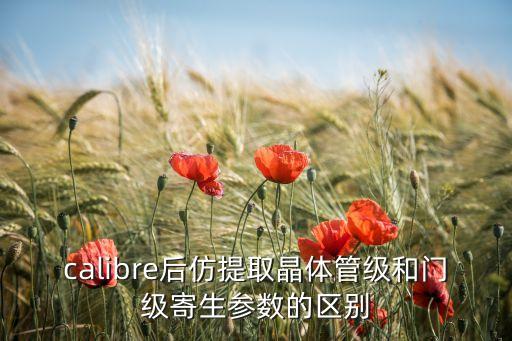 calibre后仿提取晶體管級和門級寄生參數(shù)的區(qū)別