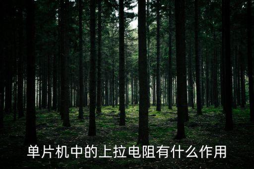 單片機(jī)中的上拉電阻有什么作用
