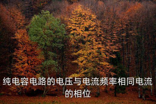 純電容電路的電壓與電流頻率相同電流的相位