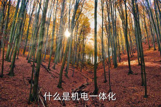 什么是機電一體化