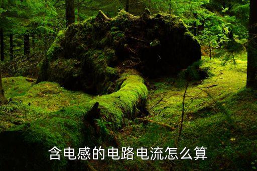含電感的電路電流怎么算
