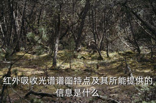 紅外吸收光譜譜圖特點(diǎn)及其所能提供的信息是什么