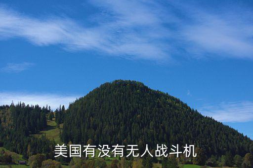 無人戰(zhàn)機(jī)，聽說美國又研制了新一代無人戰(zhàn)斗機(jī)SU35完全由電腦操縱它的性