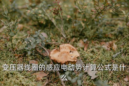 感應(yīng)電動勢計(jì)算公式，感應(yīng)電動勢怎么求求公式