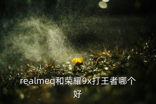 realmeq和榮耀9x打王者哪個好