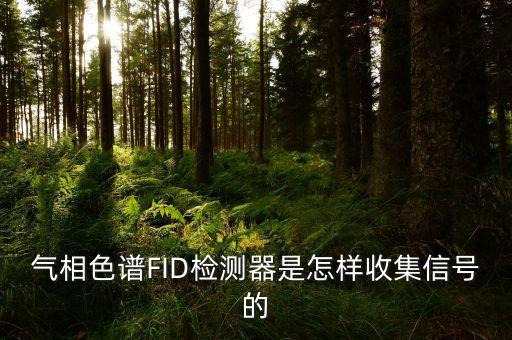 氣相色譜FID檢測(cè)器是怎樣收集信號(hào)的