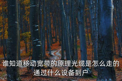 誰(shuí)知道移動(dòng)寬帶的原理光纜是怎么走的通過什么設(shè)備到戶