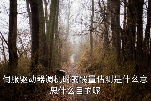 伺服驅(qū)動器調(diào)機時的慣量估測是什么意思什么目的呢