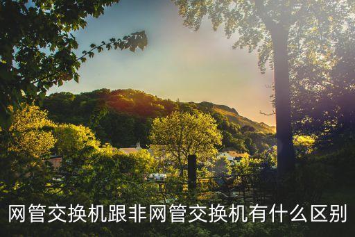 網(wǎng)管交換機跟非網(wǎng)管交換機有什么區(qū)別