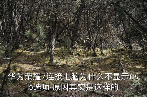 華為榮耀7連接電腦為什么不顯示usb選項 原因其實是這樣的