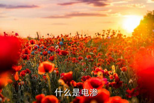 什么是電滲