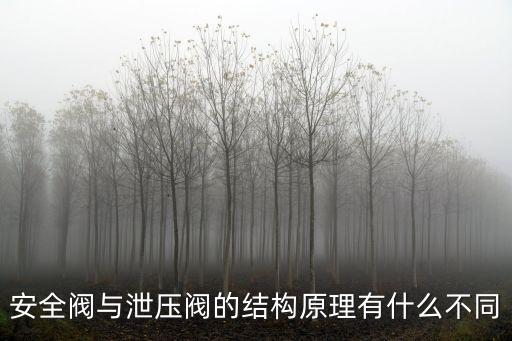 安全閥與泄壓閥的結構原理有什么不同