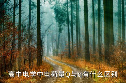電荷量q等于多少，電荷量qR