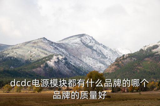 dcdc電源模塊都有什么品牌的哪個品牌的質(zhì)量好