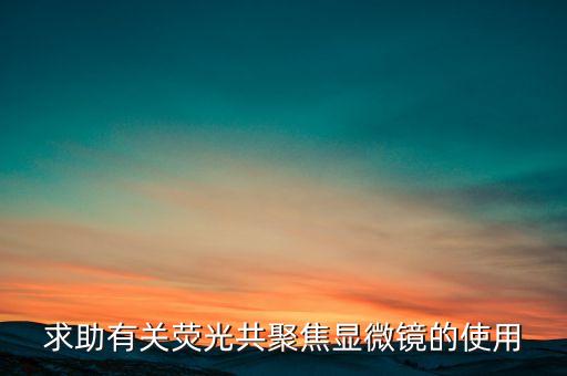 求助有關(guān)熒光共聚焦顯微鏡的使用